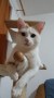 Lilian (13)